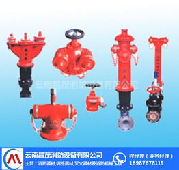 景洪灭火器材与昌茂消防设备 选购指南与市场价格解析